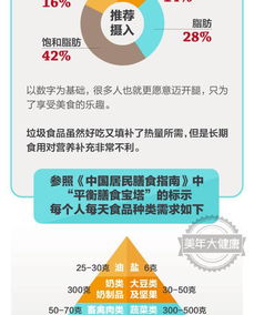 垃圾食品的正确打开方式 信息技术咨询服务的全新应用