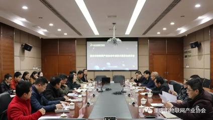 重庆市物联网产业协会专家技术委员会座谈会圆满举行，共商信息技术服务新篇章